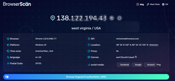 BrowserScan IP detection screenshot